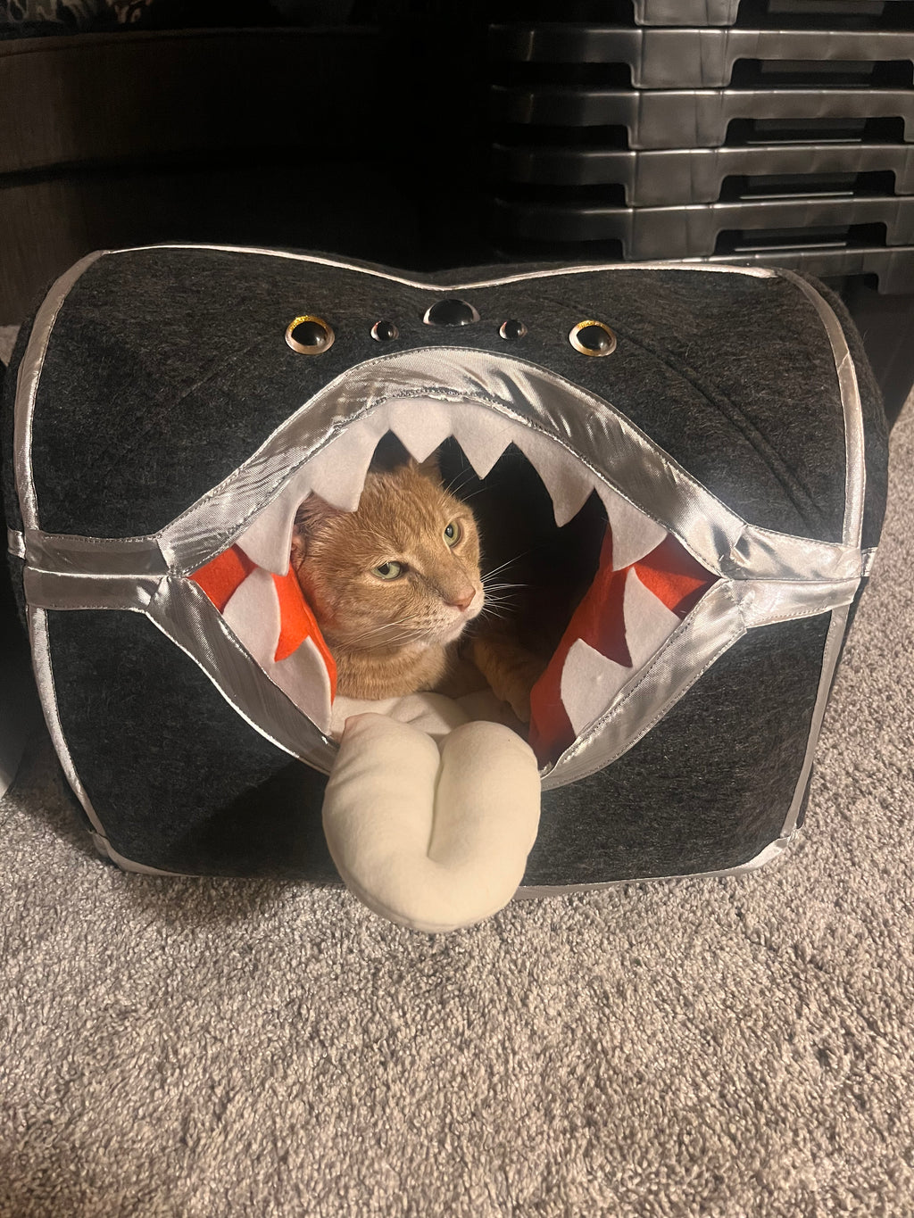 Mimic Pet Cave